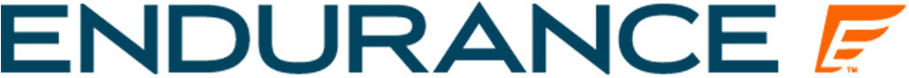 Endurance's logo