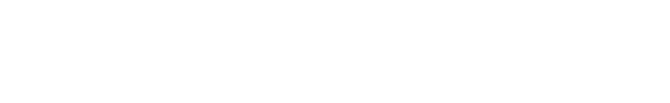 StoneEagle Horizontal Logo